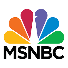 CAN-DO President Amy Ralston Povah on Rev Al Sharpton’s Politics Nation about CARES Act